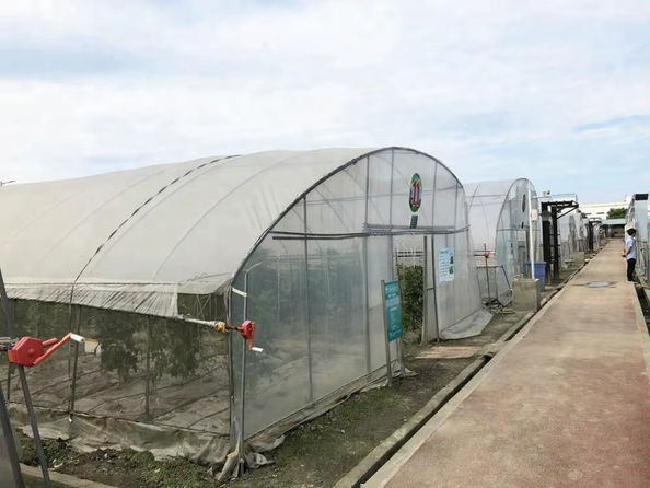 Мэтт Чарлтон