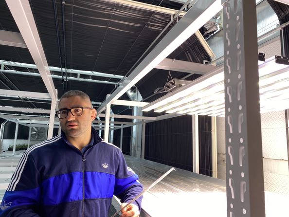 Бродерик Ванернам