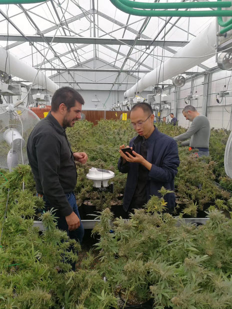 Сильвестр Найкен