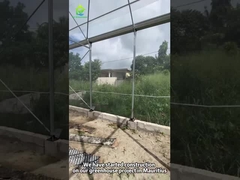 Продолжительный тепличный проект на Маврикии