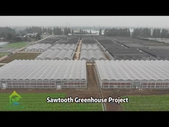 Проект AX Greenhouse - Тропическая теплица с пилозубками