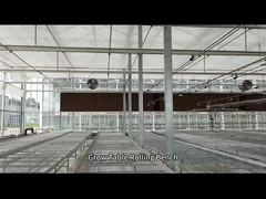 Семенная скамейка для сеяния