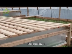 Небольшая оранжерея для улиток