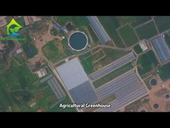Промышленный проект сельскохозяйственных теплиц