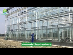 Проект AX Greenhouse - коммерческая стеклянная теплица