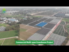 Полипластиковая пленочная туннель многопролетная сельскохозяйственная овощная оранжерея