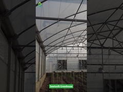 Теплица из тропической пластиковой пленки с пилообразным дизайном