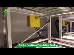 Двухслойные семенные полы и потоки теплицы роликовая скамейка выращивать столы