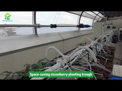 Клубничная грядка