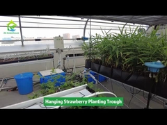 Вывешивание клубники, посадка ямы, экономия места