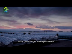 Большая многопролетная пленочная сельскохозяйственная теплица
