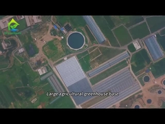 Крупная база для посадки в сельскохозяйственных теплицах