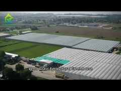 Полностью интеллектуальная стеклянная теплица для выращивания томатов и перца