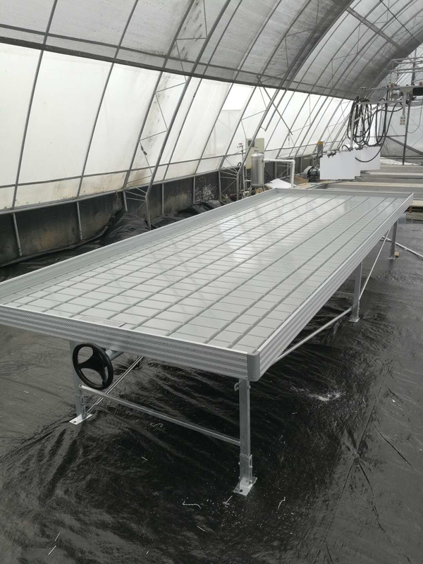 Тепличный Ebb Flow Seeding Rolling Bench Grow Tables для выращивания различных типов растений