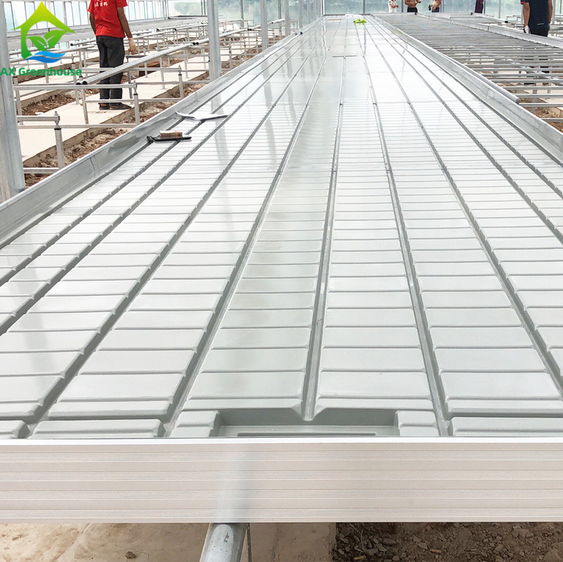 Тепличный Ebb Flow Seeding Rolling Bench Grow Tables для выращивания различных типов растений