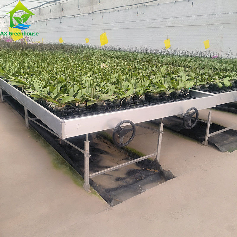 Гидропоническая подвижная скамейка для растений в теплицах