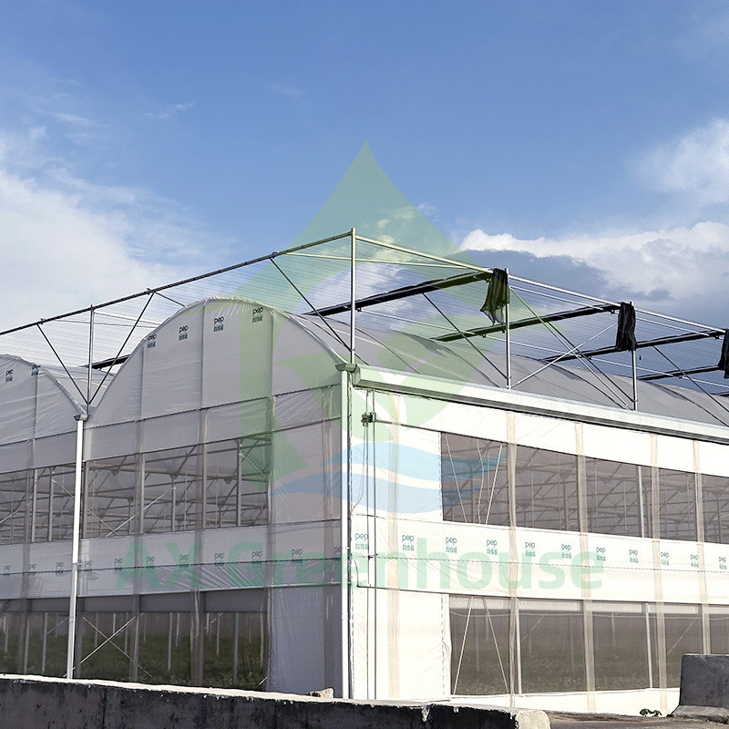 Пластиковая пленка PE Multi Span Tomato Poly Tunnel Теплица для фруктов и овощей с тенью