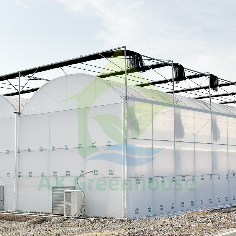 Пластиковая пленка PE Multi Span Tomato Poly Tunnel Теплица для фруктов и овощей с тенью