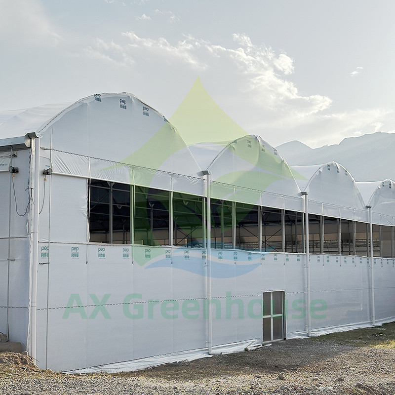 Пластиковая пленка PE Multi Span Tomato Poly Tunnel Теплица для фруктов и овощей с тенью