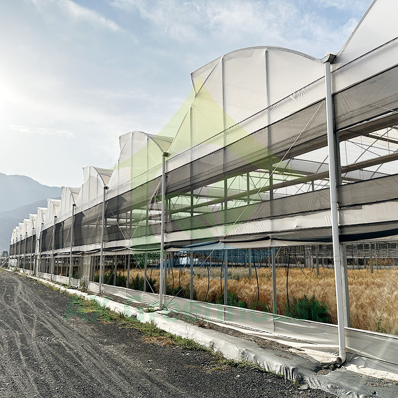 Пластиковая пленка PE Multi Span Tomato Poly Tunnel Теплица для фруктов и овощей с тенью