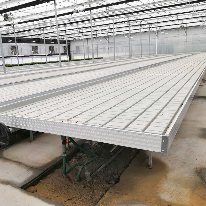 Эбб и поток 4FT*8FT Вертикальная гидропоническая передвижная роликовая скамейка
