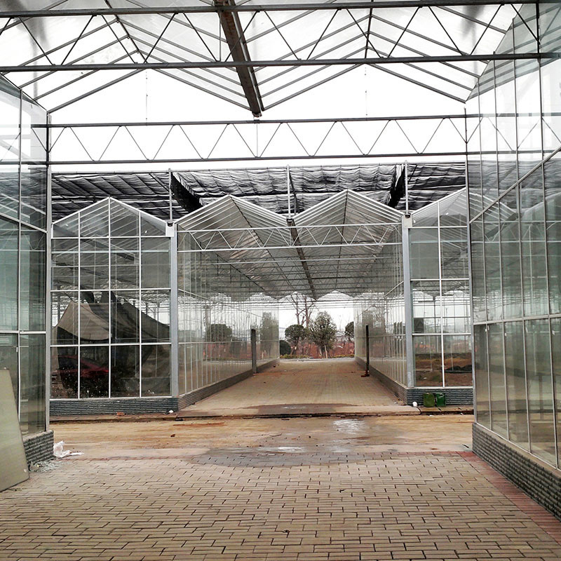 Smart Farming Venlo Type Agricultural Tempered Glass Large Tunnel Multi-span Greenhouse (Умное сельскохозяйственное хозяйство)