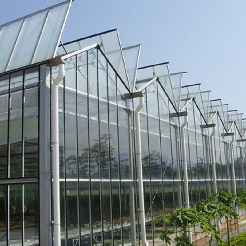 Smart Farming Venlo Type Agricultural Tempered Glass Large Tunnel Multi-span Greenhouse (Умное сельскохозяйственное хозяйство)