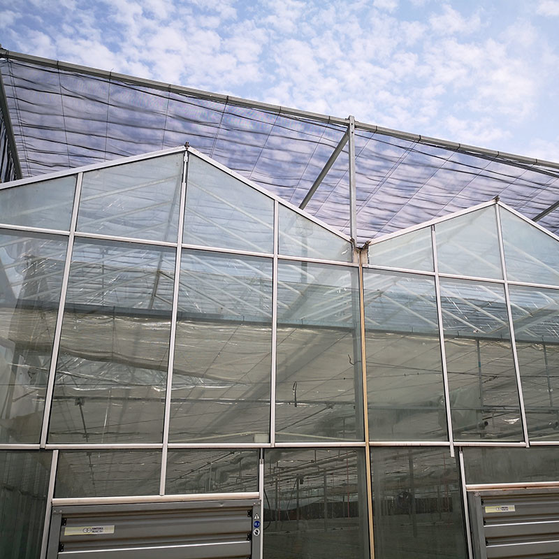 Smart Farming Venlo Type Agricultural Tempered Glass Large Tunnel Multi-span Greenhouse (Умное сельскохозяйственное хозяйство)