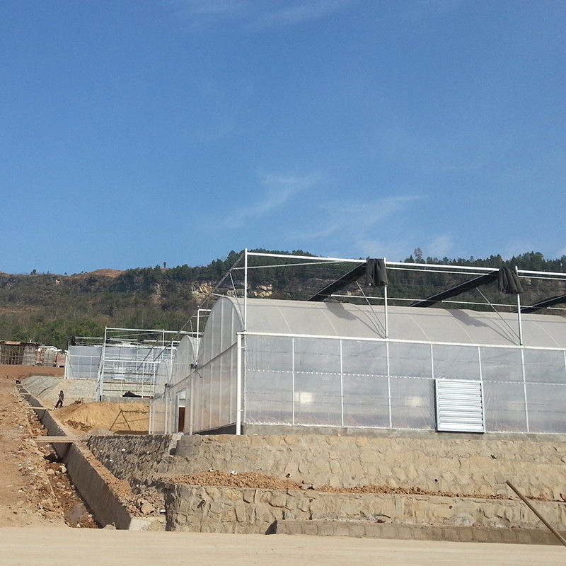 Надежная поли-тунельная тепличная антиржавая стальная рама Долговечная пленка для помидоров