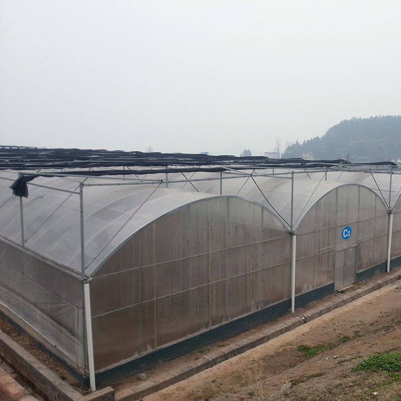 Надежная поли-тунельная тепличная антиржавая стальная рама Долговечная пленка для помидоров