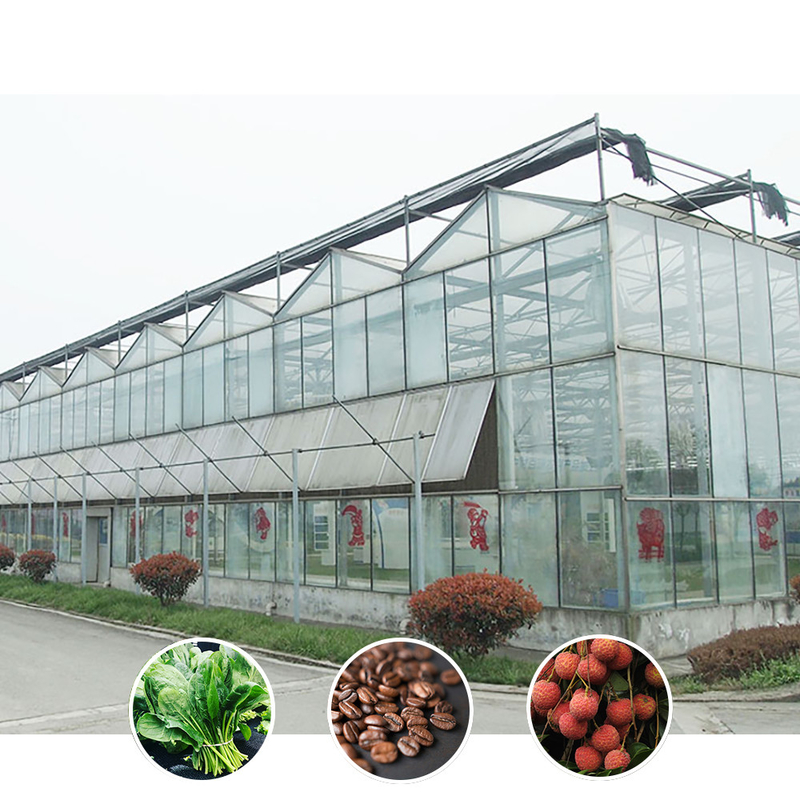 Smart Farming Venlo Type Agricultural Tempered Glass Large Tunnel Multi-span Greenhouse (Умное сельскохозяйственное хозяйство)