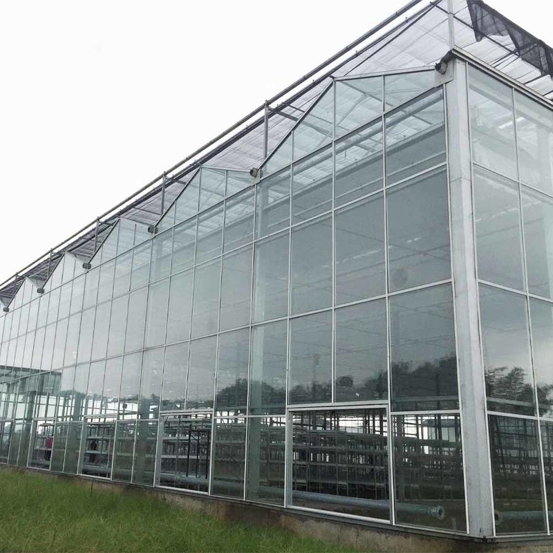 Стеклянная сельскохозяйственная теплица в стиле Multi Span Venlo с треугольной кровлей и верхней боковой вентиляцией для вентиляции