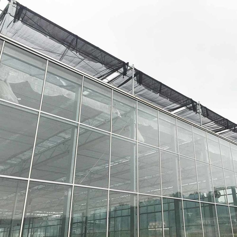 Садоводство Многопролетный сельскохозяйственный цветоводческий теплица стеклянная семена типа Венло