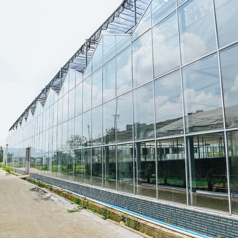 Садоводство Многопролетный сельскохозяйственный цветоводческий теплица стеклянная семена типа Венло