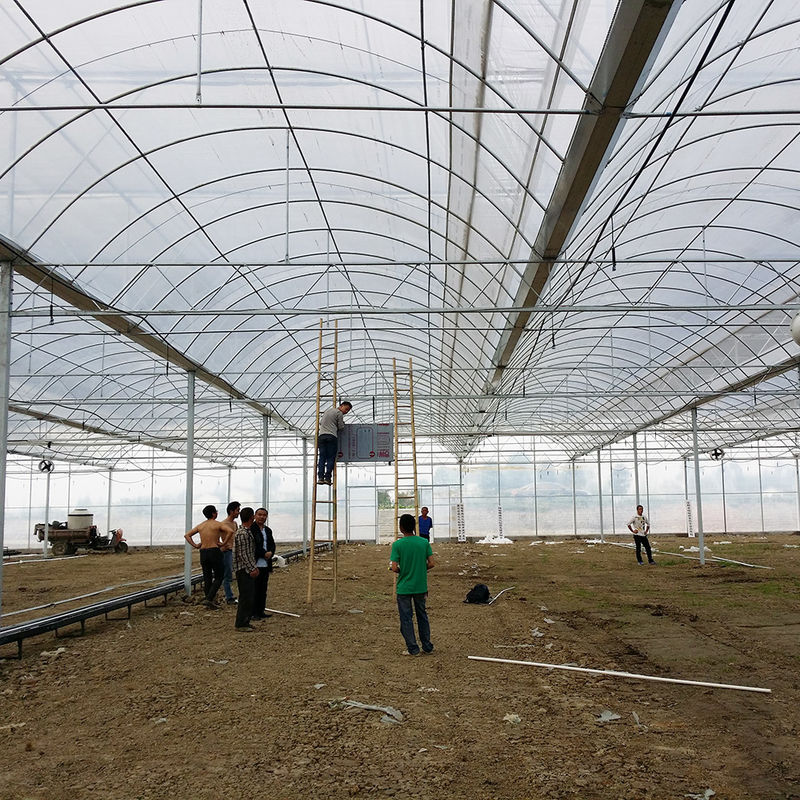 Надежная поли-тунельная тепличная антиржавая стальная рама Долговечная пленка для помидоров