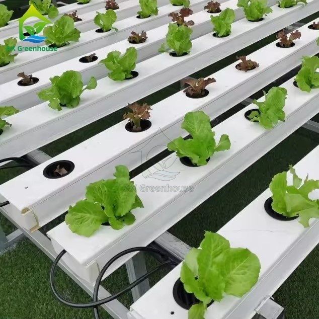 China Factory Super Farm Hydroponic NFT Growing System NFT PVC Channel Horizontal NFT Soilless Leafy VegetableCultivation System
