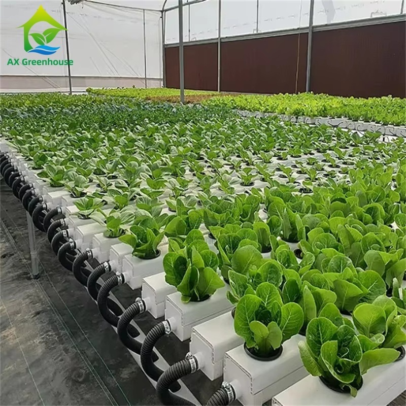 China Factory Super Farm Hydroponic NFT Growing System NFT PVC Channel Horizontal NFT Soilless Leafy VegetableCultivation System