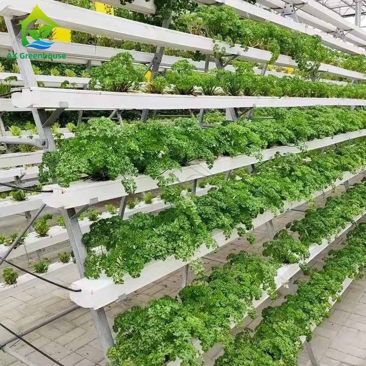 Система выращивания без почвы в теплице А-кадр Техника питательной пленки НФТ канал Эффективное выращивание овощей