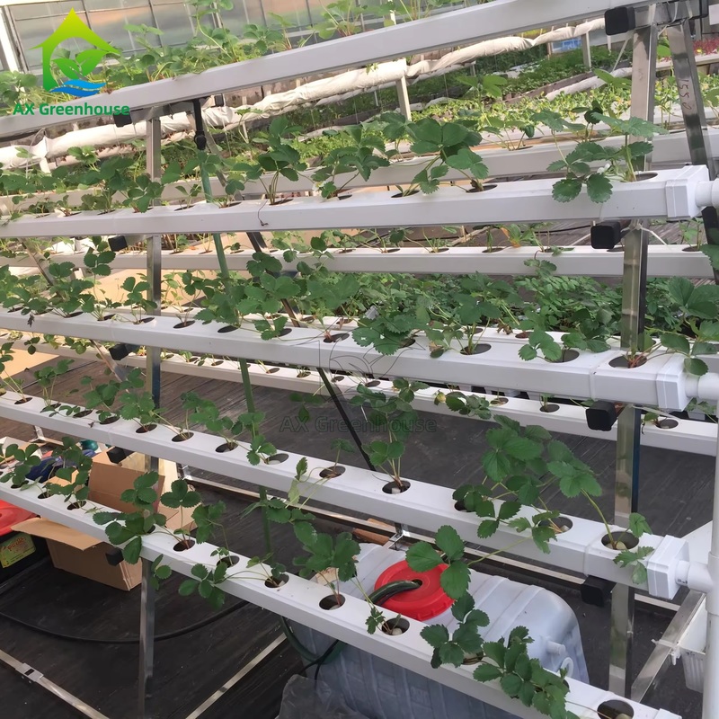 Система выращивания без почвы в теплице А-кадр Техника питательной пленки НФТ канал Эффективное выращивание овощей