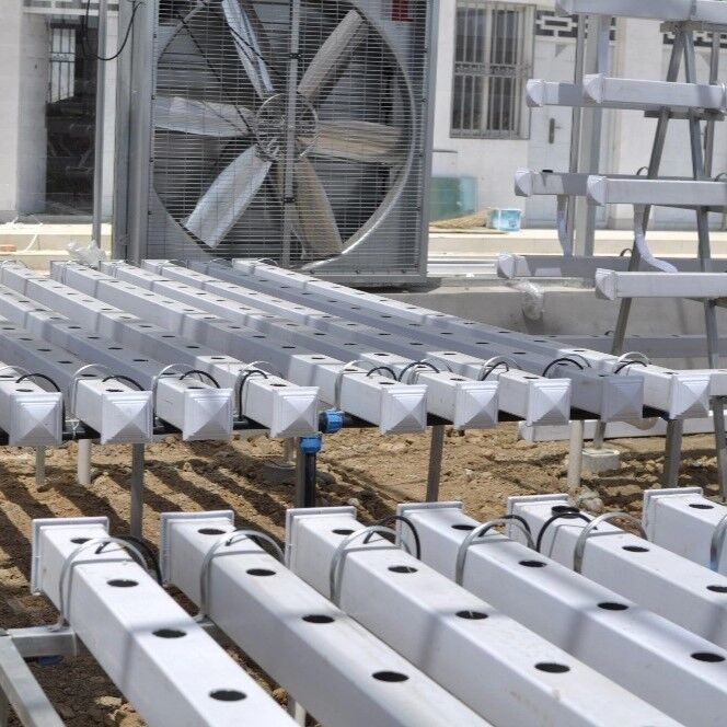 Пищевая ПВХ система гидропоники NFT с УФ-ингибиторами и настраиваемыми размерами для коммерческих теплиц