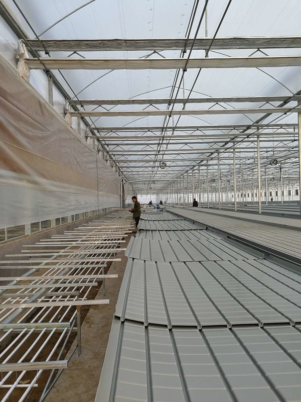 Суды парника ширины 0.71-1.78m свертывая отливают и пропускают Hydroponic таблица потока