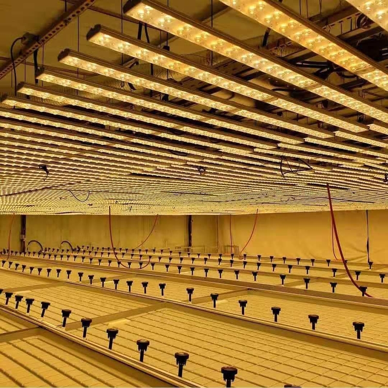 Суды парника ширины 0.71-1.78m свертывая отливают и пропускают Hydroponic таблица потока