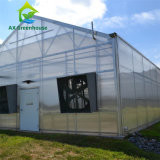 Коммерчески одиночный тип удар Venlo пяди парника листа ПК - устойчивый