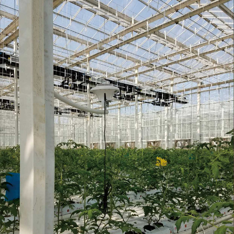 Интеллектуальная система мониторинга теплицы с питанием от сети переменного тока 220 В и измерителем концентрации CO2 0~50000 ppm для оптимального управления климатом