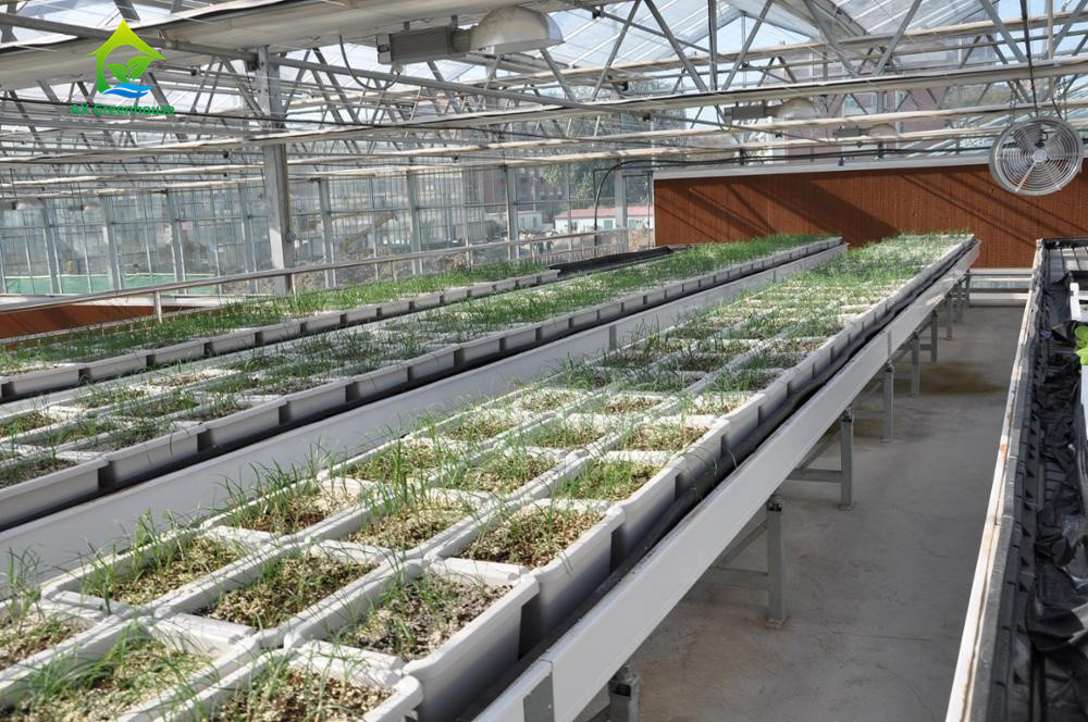 Сточная канава PVC NFT качества еды 3.0-5.0mm толстая Hydroponic для клубник